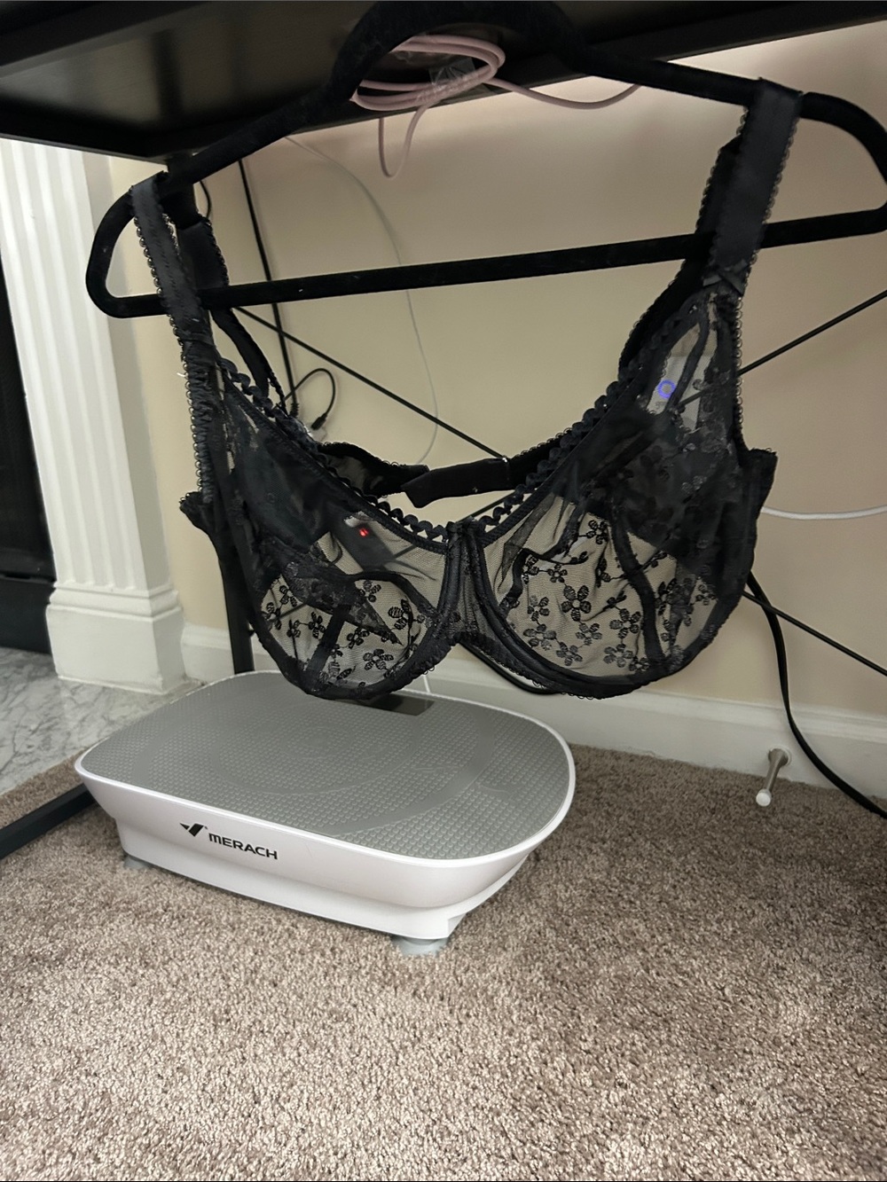 Freya Black Sheer Floral Lace Underwire Bra